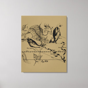 Konstellation von Pisces Hevelius um 1690 Leinwanddruck