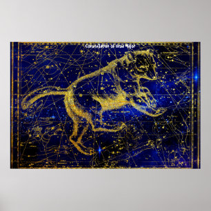 Konstellation von Ursa Major Poster