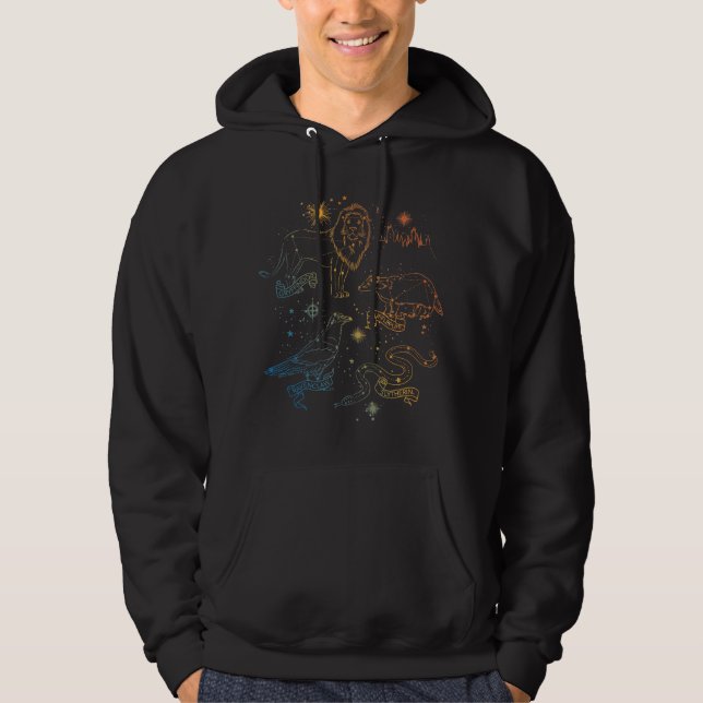 Konstellationen für Regenbogenhäuser Hoodie (Vorderseite)