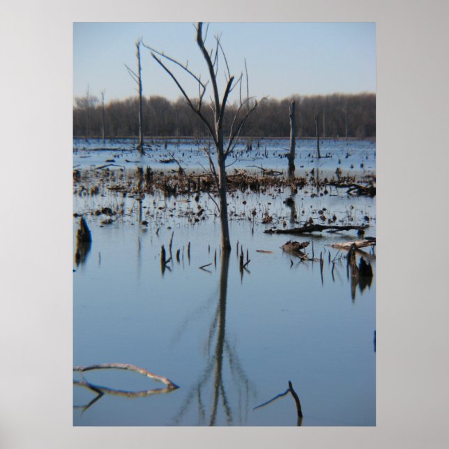 Kontemplation der Reflexion Poster (Vorne)