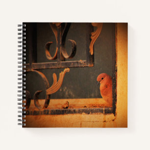 Kontemplation Notizbuch