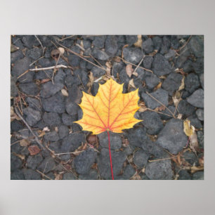 Kontratraste Leaf-Poster Poster
