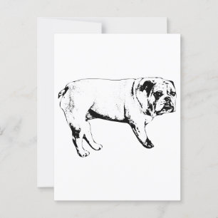 Kontur Bulldog Postkarte