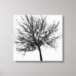 Kontur eines Baumes Leinwanddruck