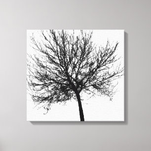 Kontur eines Baumes Leinwanddruck