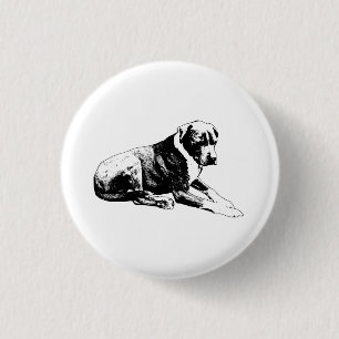 Kontur Frieden, Moderne Stimmung Button