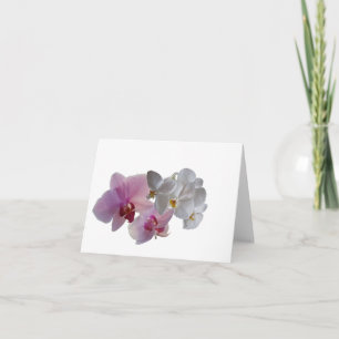 Konymoi "Orchid Bloom" leere geklappte Grußkarte Karte