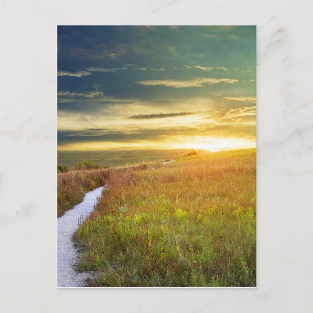 Konza Prairie Path Postcard Postkarte (Vorderseite)