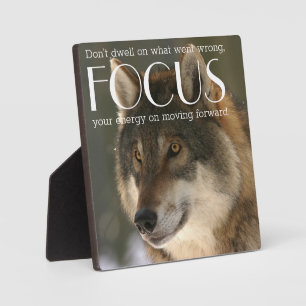 Konzentriere Zitat auf Wolfsbild-Ermutigung Fotoplatte