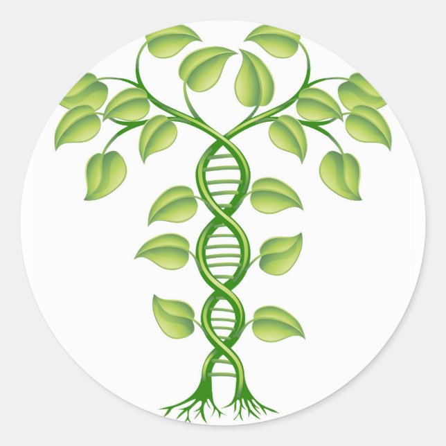 Konzept der DNA-Pflanze Runder Aufkleber (Vorderseite)