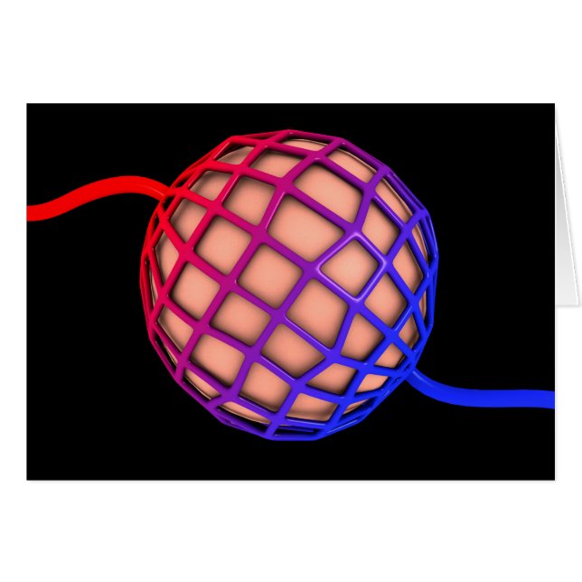 Konzeptbild von Alveolus (Vorderseite (Horizontal))