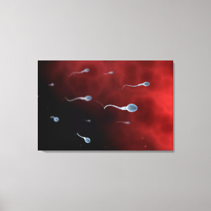 Konzeptionelles Bild von Spermien im Inneren des F Leinwanddruck