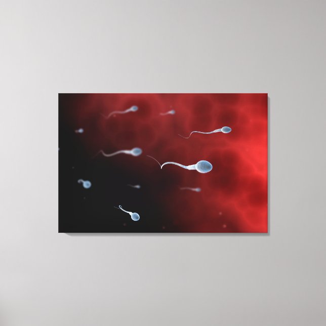 Konzeptionelles Bild von Spermien im Inneren des F Leinwanddruck (Vorderseite)