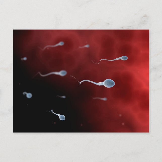 Konzeptionelles Bild von Spermien im Inneren des F Postkarte (Vorderseite)