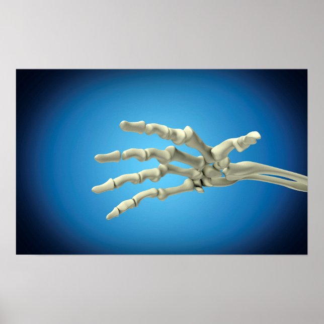 Konzeptuelles Bild der Knochen in der menschlichen Poster (Vorne)