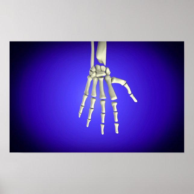 Konzeptuelles Bild der Knochen in der menschlichen Poster (Vorne)