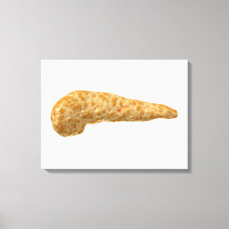 Konzeptuelles Bild der Pankreas beim Menschen Leinwanddruck
