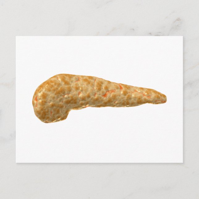 Konzeptuelles Bild der Pankreas beim Menschen Postkarte (Vorderseite)