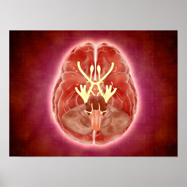 Konzeptuelles Bild der SchädelNerven im Gehirn Poster (Vorne)