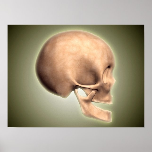 Konzeptuelles Bild des menschlichen Schädels, Seit Poster (Vorne)