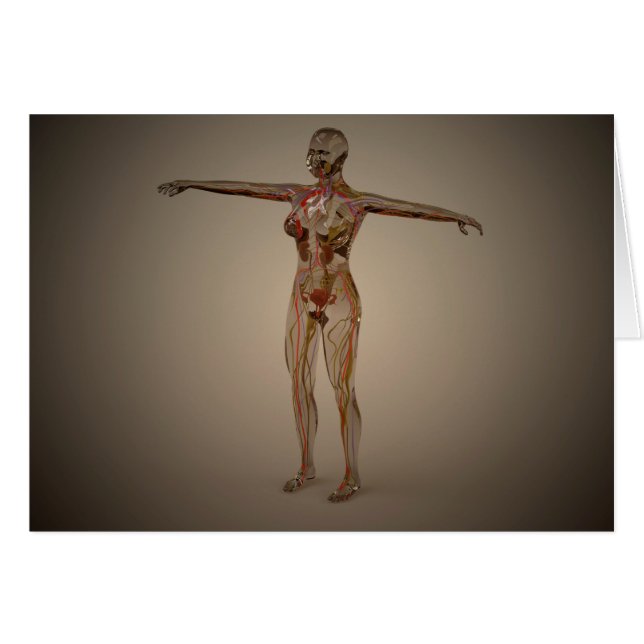 Konzeptuelles Bild des Nervensystems 2 (Vorderseite (Horizontal))