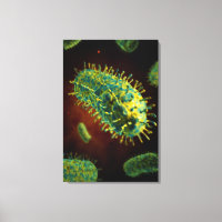 Konzeptuelles Bild des Tollwutvirus 1