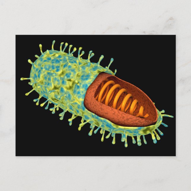Konzeptuelles Bild des Tollwutvirus 3 Postkarte (Vorderseite)