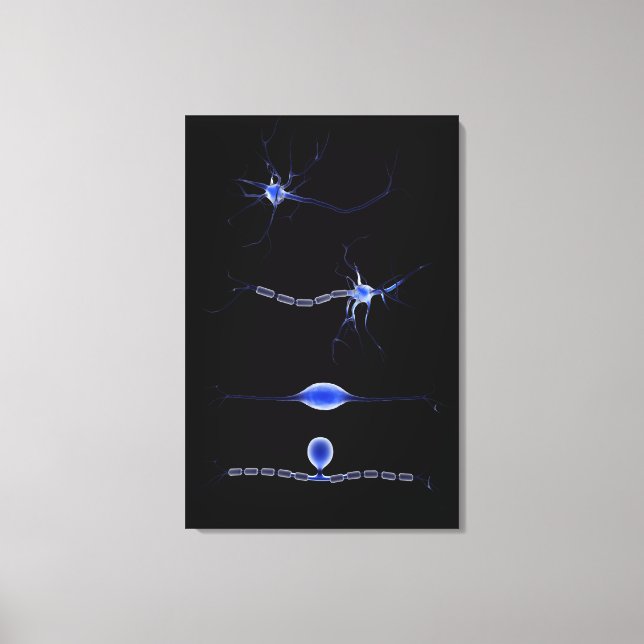 Konzeptuelles Bild einer Neuron 1 Leinwanddruck (Vorderseite)