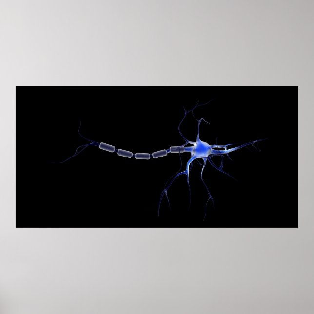 Konzeptuelles Bild eines Neurons 2 Poster (Vorne)