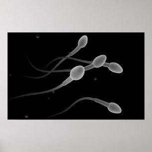 Konzeptuelles Bild männlicher Spermien Poster