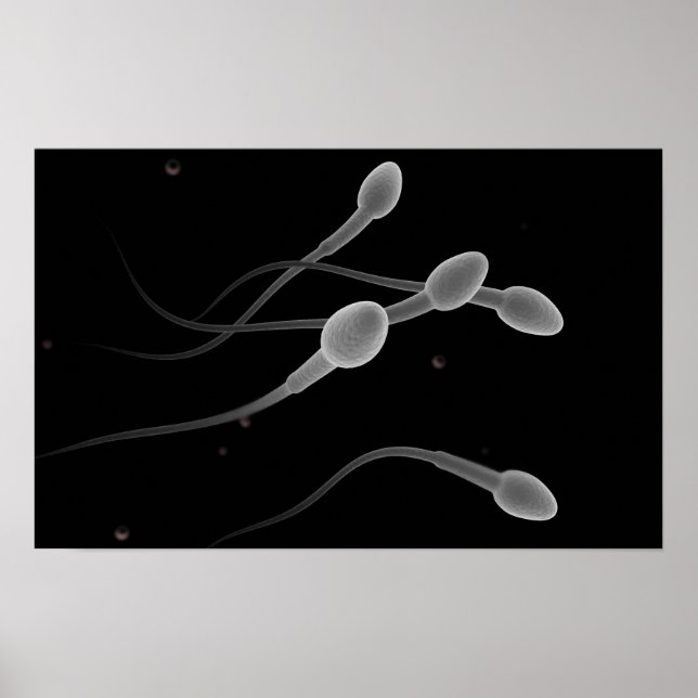 Konzeptuelles Bild männlicher Spermien Poster (Vorne)