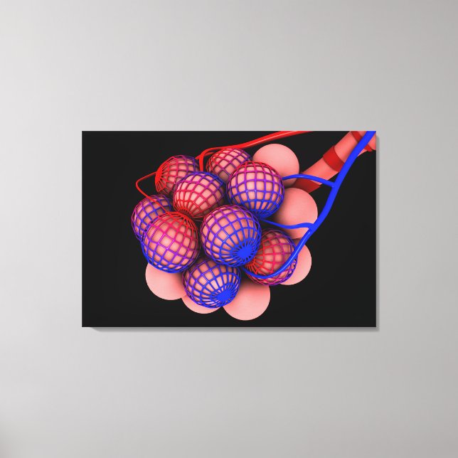 Konzeptuelles Bild von Alveoli 1 Leinwanddruck (Vorderseite)