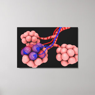 Konzeptuelles Bild von Alveoli 2 Leinwanddruck