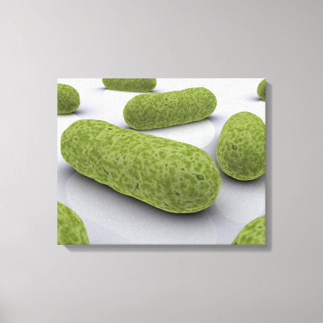 Konzeptuelles Bild von Bakterien 1 Leinwanddruck (Vorderseite)