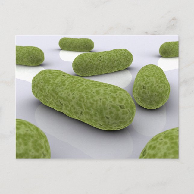 Konzeptuelles Bild von Bakterien 1 Postkarte (Vorderseite)