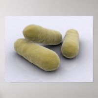 Konzeptuelles Bild von Bakterien 2
