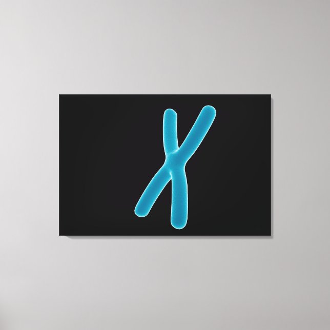 Konzeptuelles Bild von Chromosom 3 Leinwanddruck (Vorderseite)