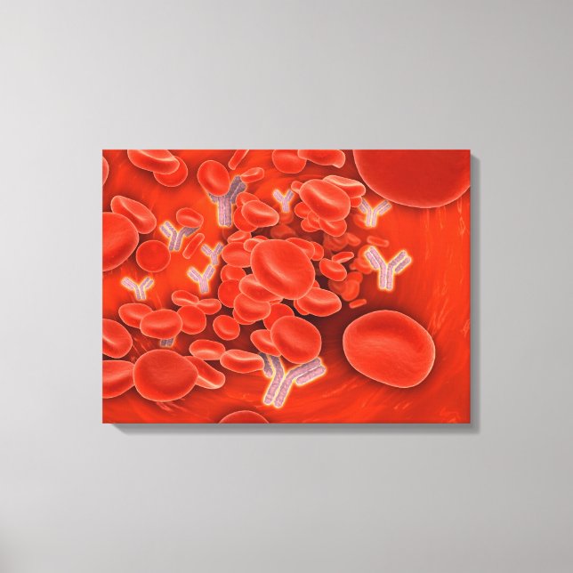 Konzeptuelles Bild von Chromosomen im Blut Leinwanddruck (Vorderseite)