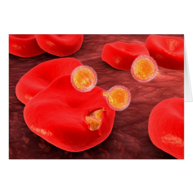 Konzeptuelles Bild von Paramecium 2 (Vorderseite (Horizontal))