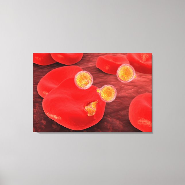 Konzeptuelles Bild von Paramecium 2 Leinwanddruck (Vorderseite)