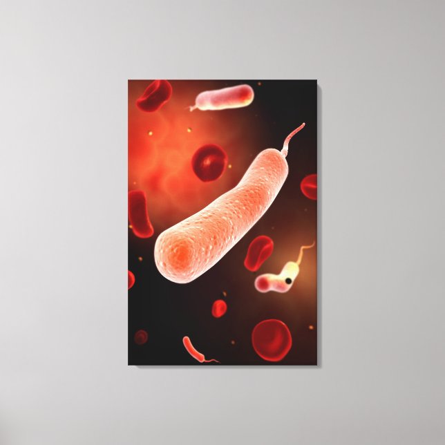 Konzeptuelles Bild von Vibrio Cholerae 2 Leinwanddruck (Vorderseite)