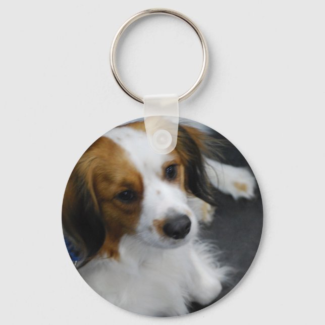 Kooikerhondje Dog Schlüsselanhänger (Vorderseite)