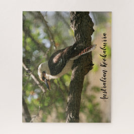 Kookaburra