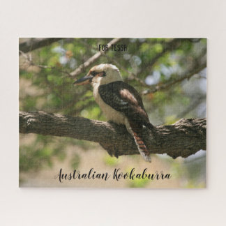 Kookaburra