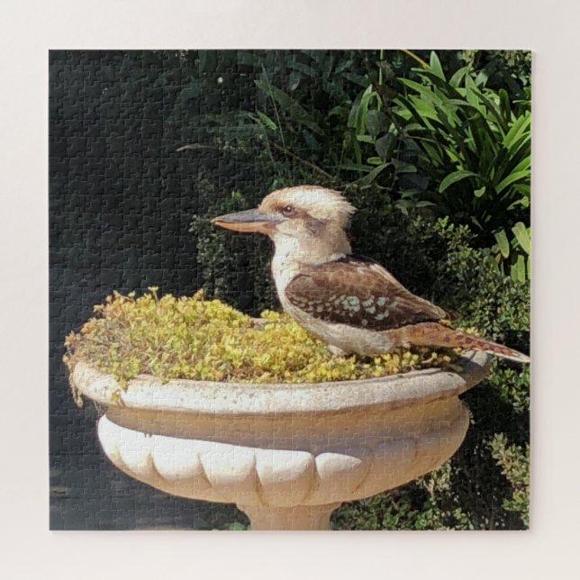 Kookaburra (Horizontal)