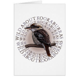 Kookaburra