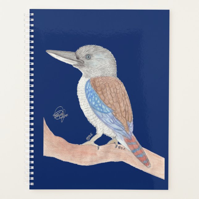 KOOKABURRA (Devant)