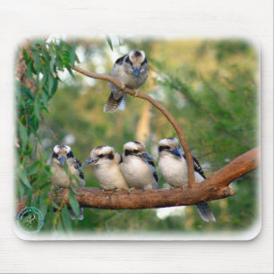 Kookaburra 9Y172D-004 Mousepad