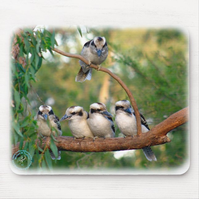 Kookaburra 9Y172D-004 Mousepad (Vorne)
