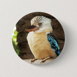Kookaburra Button